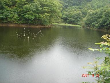 20070629-1.jpg